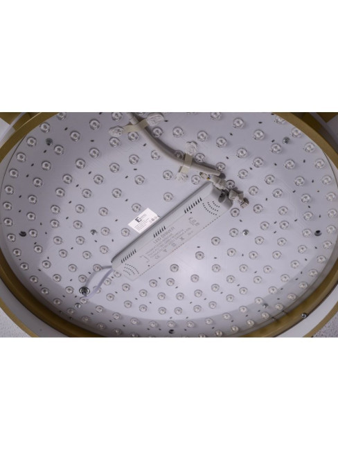 Потолочный светильник Zortes Gerda ZRS.1097.60 Потолочный светильник Zortes Gerda ZRS.1097.60