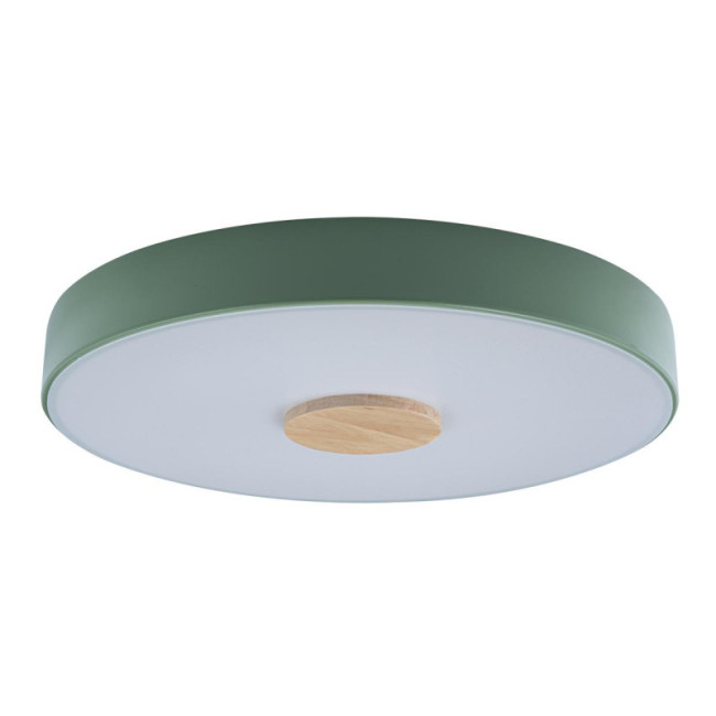 Потолочный светильник Loft IT AXEL 10003/24 Green Потолочный светильник Loft IT AXEL 10003/24 Green