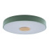 Потолочный светильник Loft IT AXEL 10003/24 Green Потолочный светильник Loft IT AXEL 10003/24 Green