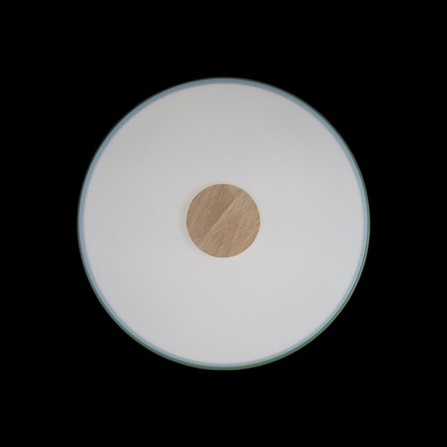 Потолочный светильник Loft IT AXEL 10003/24 Green Потолочный светильник Loft IT AXEL 10003/24 Green