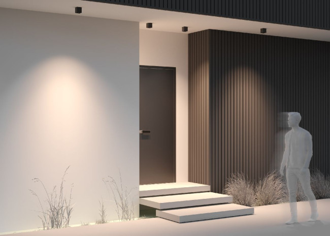 Уличный потолочный светильник Maytoni Ares O309CL-L8GF3K