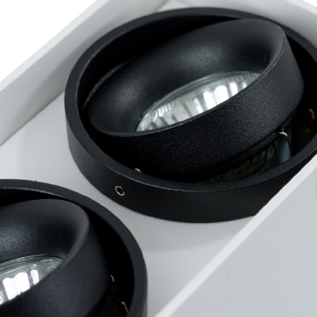 Потолочный светильник Arte Lamp A5655PL-2WH Потолочный светильник Arte Lamp A5655PL-2WH