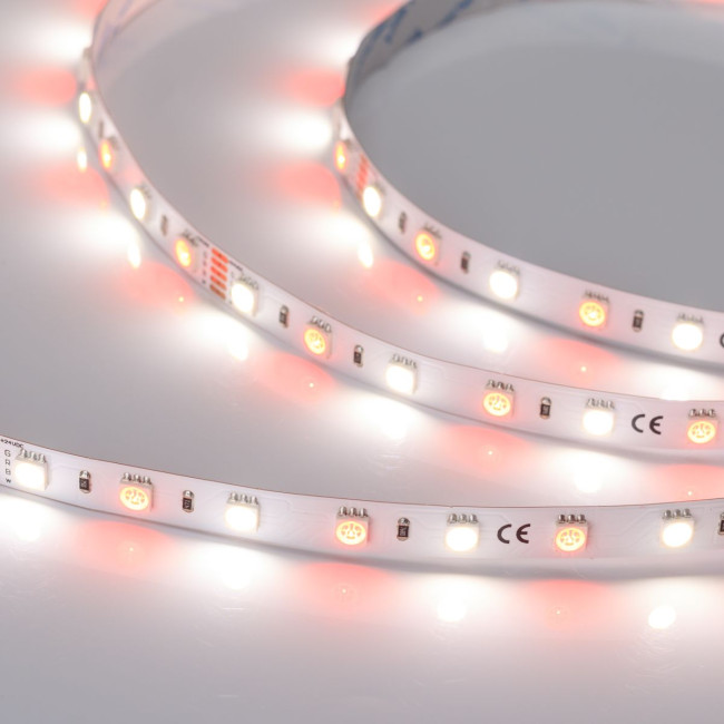 Светодиодная лента Arlight RT-B60-10mm 24V RGBW-Day (14.4 W/m, IP20, 5m) (Открытый) 018326(3) Светодиодная лента Arlight RT-B60-10mm 24V RGBW-Day (14.4 W/m, IP20, 5m) (Открытый) 018326(3)