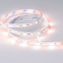 Светодиодная лента Arlight RT-B60-10mm 24V RGBW-Day (14.4 W/m, IP20, 5m) (Открытый) 018326(3) Светодиодная лента Arlight RT-B60-10mm 24V RGBW-Day (14.4 W/m, IP20, 5m) (Открытый) 018326(3)