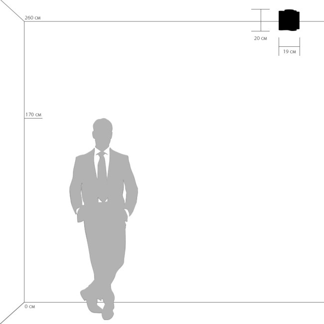 Потолочный светильник Lightstar Nubi 802010 Потолочный светильник Lightstar Nubi 802010