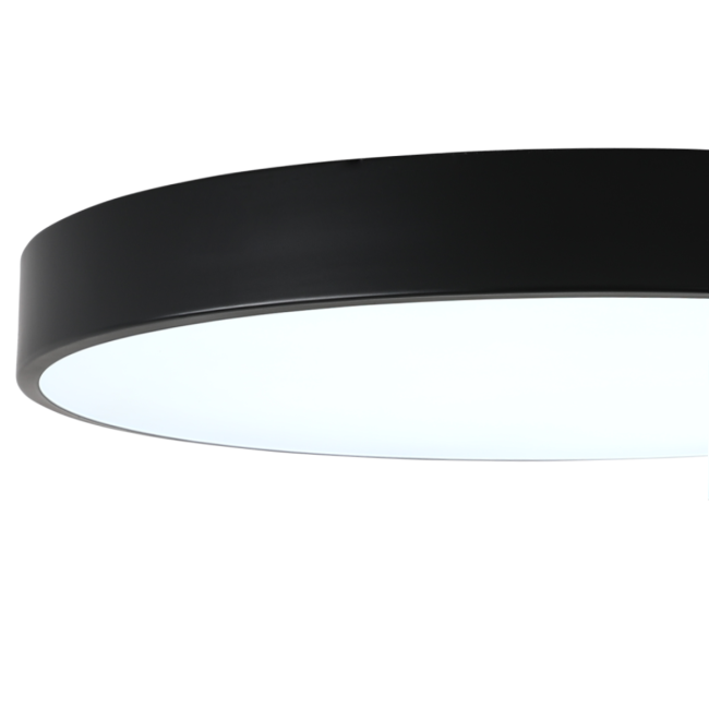 Потолочный светильник Zortes Tortty ZRS.02563.96 Потолочный светильник Zortes Tortty ZRS.02563.96