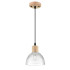 Подвесной светильник Lumion Suspentioni Natana 8055/1A