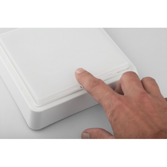 Настенно-потолочный светильник ЭРА SPB-4-10-4K Б0036420