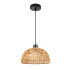 Подвесной светильник Arte Lamp Brushwood A7086SP-1BK Подвесной светильник Arte Lamp Brushwood A7086SP-1BK