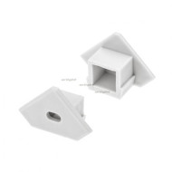 Заглушка Arlight PDS45-T белая с отверстием 018612 Заглушка Arlight PDS45-T белая с отверстием 018612