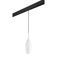 Трековый светильник Lightstar Pentola PRO803020 (803020+595007) Трековый светильник Lightstar Pentola PRO803020 (803020+595007)