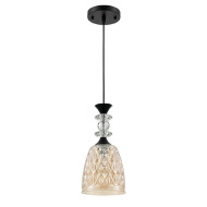 Подвесной светильник Lumion Suspentioni Elenika 8056/1A