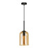 Подвесной светильник Arte Lamp Paio A7015SP-1BK