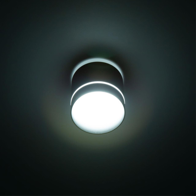 Накладной светильник Citilux Борн CL745021N