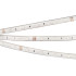 Светодиодная лента Arlight Rtw-ps-b30-13mm 5060 026484(2) Светодиодная лента Arlight Rtw-ps-b30-13mm 5060 026484(2)