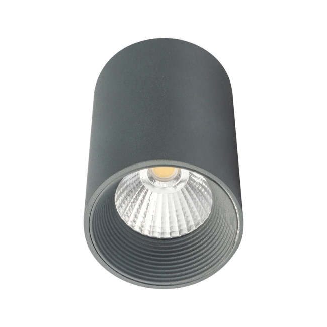Потолочный светильник 20003 20003SMU/01LED SGY Потолочный светильник 20003 20003SMU/01LED SGY