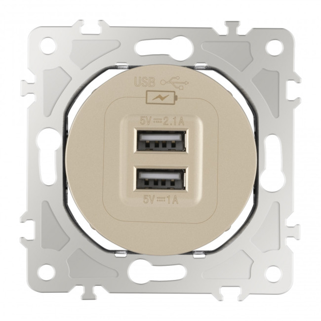 Розетка USB 2.1А+1А Arte Milano 202.46-1.shampan Розетка USB 2.1А+1А Arte Milano 202.46-1.shampan