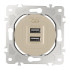 Розетка USB 2.1А+1А Arte Milano 202.46-1.shampan Розетка USB 2.1А+1А Arte Milano 202.46-1.shampan
