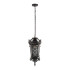 Уличный подвесной светильник Loft IT Tremezzo 100019P BS Уличный подвесной светильник Loft IT Tremezzo 100019P BS