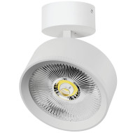 Накладной светильник Alta Pro Lightstar A5746SO