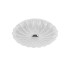 Настенно-потолочный светильник Lightstar Arco Shell 225630 Настенно-потолочный светильник Lightstar Arco Shell 225630