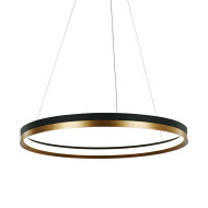 Подвесной светильник Delight Collection MD21001010 MD21001010-1B black/br.gold Подвесной светильник Delight Collection MD21001010 MD21001010-1B black/br.gold