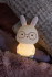 Настольная лампа Lucide Pincha Rabbit 54500/01/66 Настольная лампа Lucide Pincha Rabbit 54500/01/66