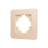Рамка алюминиевая на 1 пост Arlight FRM-AKIRY-SFAL-1-GD 049686 Рамка алюминиевая на 1 пост Arlight FRM-AKIRY-SFAL-1-GD 049686