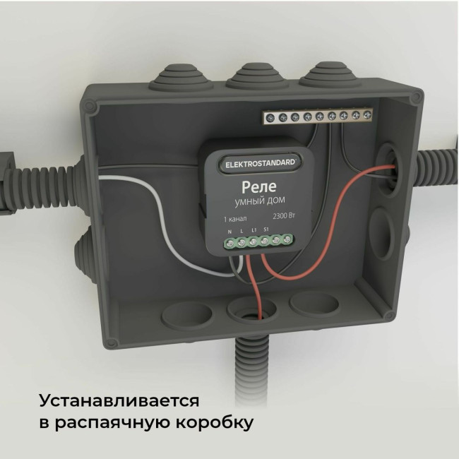 Умное одноканальное реле Elektrostandard 4690389185069 a059324 Умное одноканальное реле Elektrostandard 4690389185069 a059324
