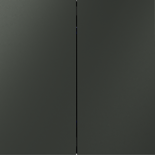 Выключатель с самовозвратом двухклавишный Voltum S70 VLS020606 (титан) Выключатель с самовозвратом двухклавишный Voltum S70 VLS020606 (титан)