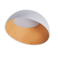 Потолочный светильник Zortes Baum ZRS.01201.19 Потолочный светильник Zortes Baum ZRS.01201.19