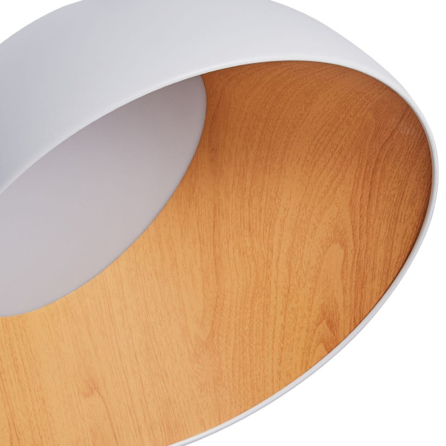 Потолочный светильник Zortes Baum ZRS.01201.19 Потолочный светильник Zortes Baum ZRS.01201.19