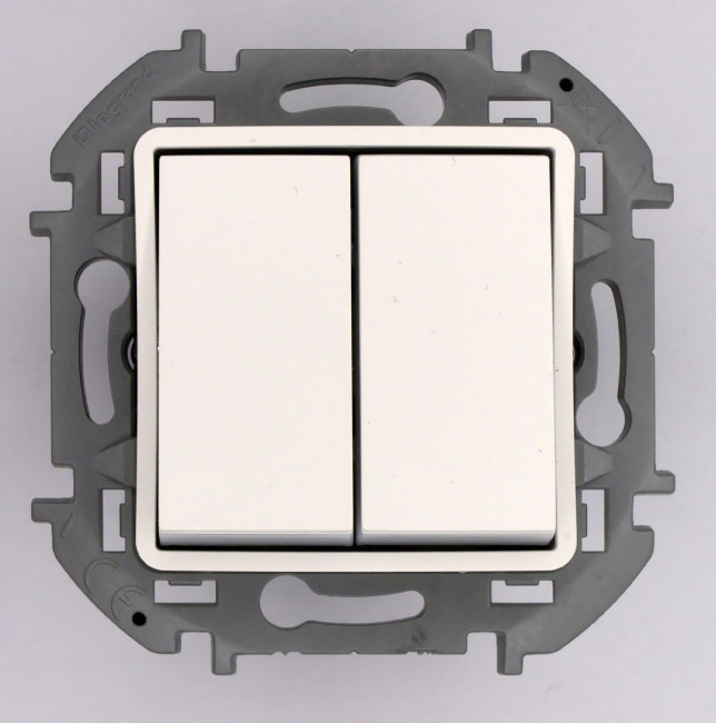 Переключатель двухклавишный Legrand Inspiria 673655