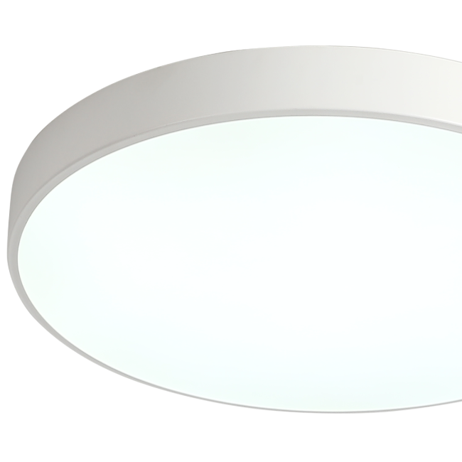 Потолочный светильник Zortes Tortty ZRS.02564.96 Потолочный светильник Zortes Tortty ZRS.02564.96