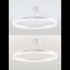 Потолочная люстра Natali Kovaltseva Finam LED LAMPS 81121/1C Потолочная люстра Natali Kovaltseva Finam LED LAMPS 81121/1C