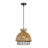 Подвесной светильник Arte Lamp Woodstock A7070SP-1BK Подвесной светильник Arte Lamp Woodstock A7070SP-1BK