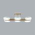 Потолочная люстра Lumion Plato 8030/108CL Потолочная люстра Lumion Plato 8030/108CL