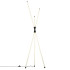 Торшер Citilux Lucia CL217961 Торшер Citilux Lucia CL217961