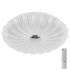 Настенно-потолочный светильник Lightstar Arco Shell 225660