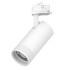 Трековый трехфазный светильник Quattro 20-55G с адаптером Lightstar Canno Pro C4306QT Трековый трехфазный светильник Quattro 20-55G с адаптером Lightstar Canno Pro C4306QT