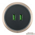 Трековая розетка Arte Milano Am-track-sockets 380066TS LED/USBx2 Gold