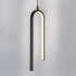 Подвесной светильник Lightstar Saturno 749017 Подвесной светильник Lightstar Saturno 749017