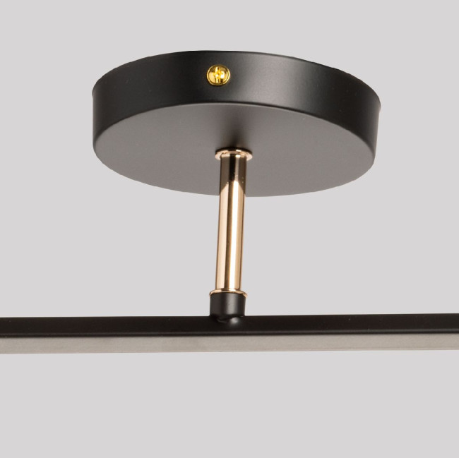 Потолочный светильник De Markt Дэла 635017402 Потолочный светильник De Markt Дэла 635017402