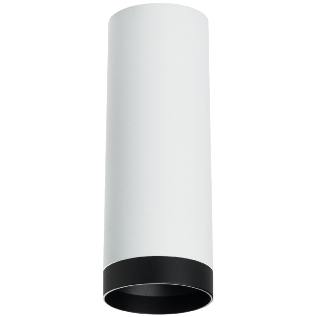 Накладной светильник Lightstar Rullo R4863437 (214486+203437)