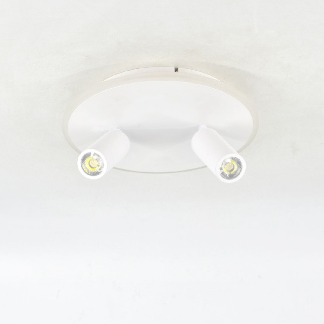 Настенно-потолочный светильник Escada 20046SMA/02LED WH Настенно-потолочный светильник Escada 20046SMA/02LED WH