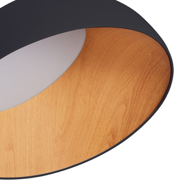 Потолочный светильник Zortes Baum ZRS.01243.07 Потолочный светильник Zortes Baum ZRS.01243.07