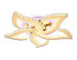 Потолочный светодиодный светильник Ambrella Light Acrylica FA1724