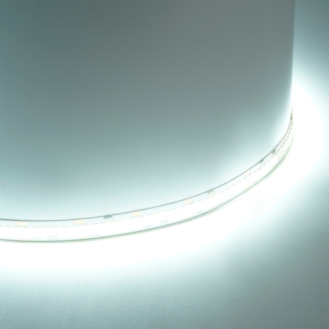 Светодиодная лента Feron LS503 24В 22Вт/м 6000К 5м IP20 48831