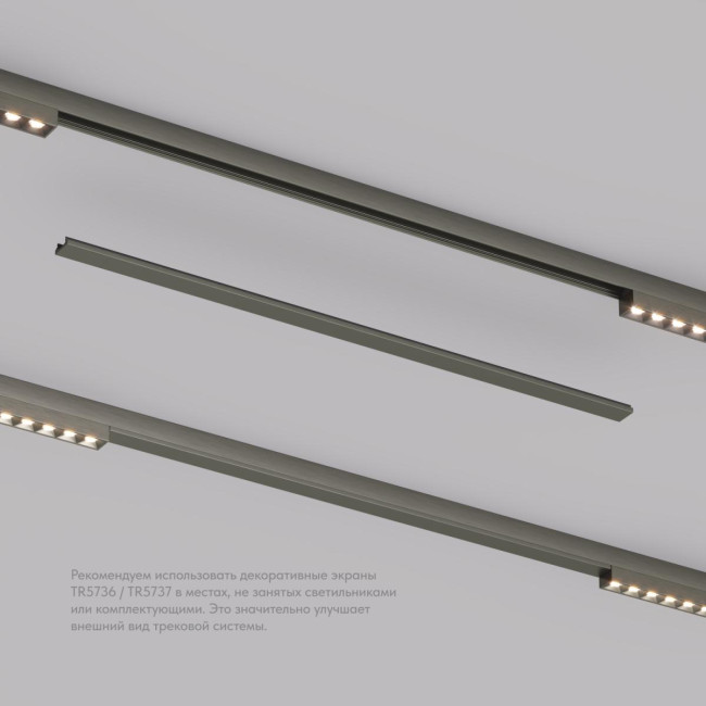 Декоративная заглушка желоба трека Denkirs Shine Base TR5737-DN