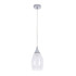 Подвесной светильник Arte Lamp Barry A7951SP-1CC Подвесной светильник Arte Lamp Barry A7951SP-1CC
